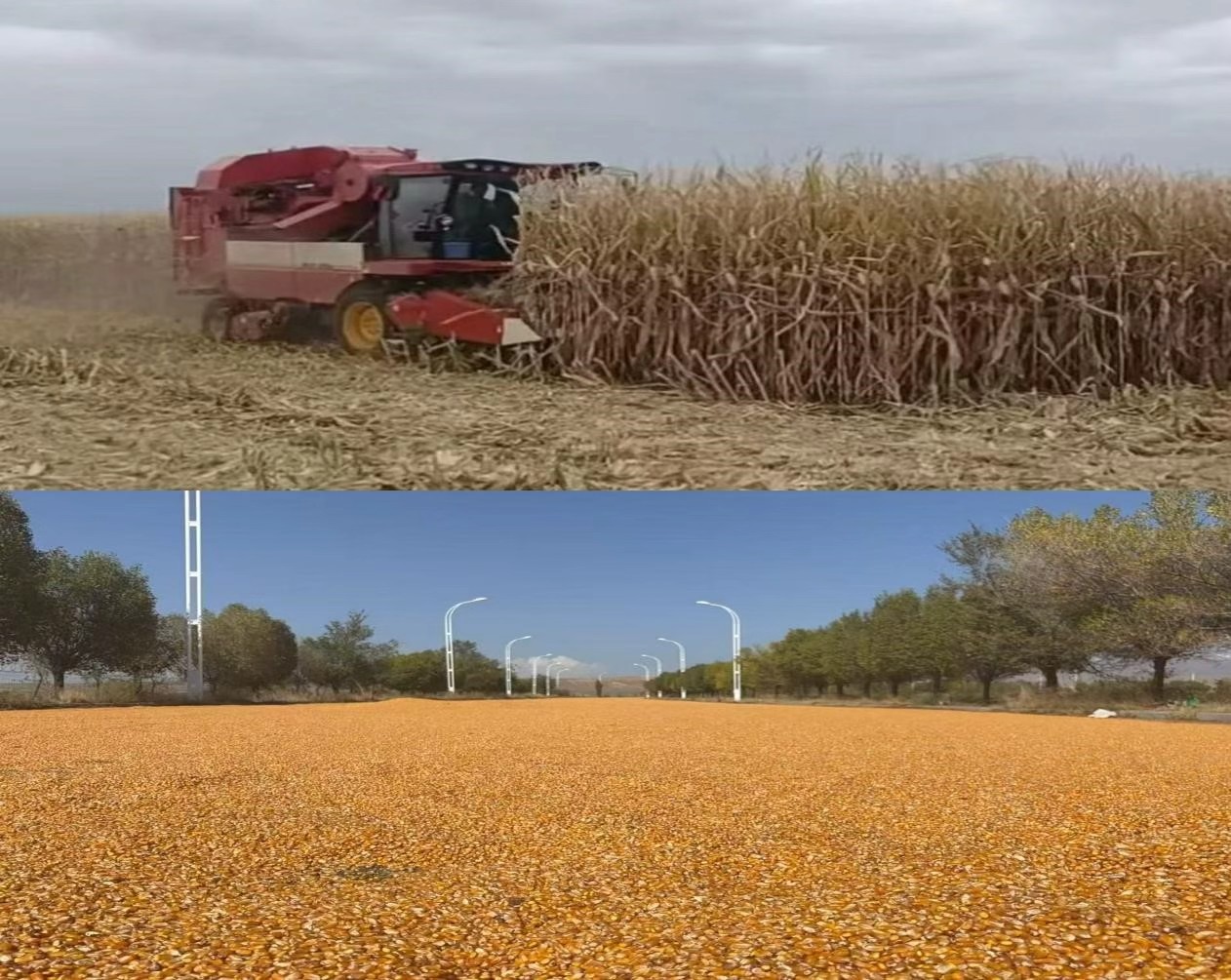 af297b4b-9dab-11f0-9758-fea6c39cc3af.jpg af297b4b-9dab-11f0-9758-fea6c39cc3af.jpg